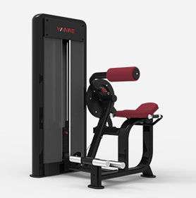 #5508 背腹部训练器