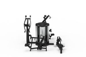 75003 组合背部训练器